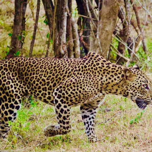 WhatsApp Image 2025-10-20 at 11.33.48 PM (1)