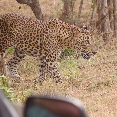 WhatsApp Image 2025-10-20 at 11.33.49 PM