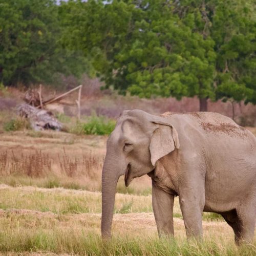 WhatsApp Image 2025-10-20 at 11.33.50 PM