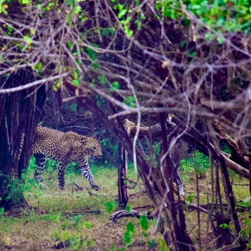 WhatsApp Image 2025-10-20 at 11.33.51 PM