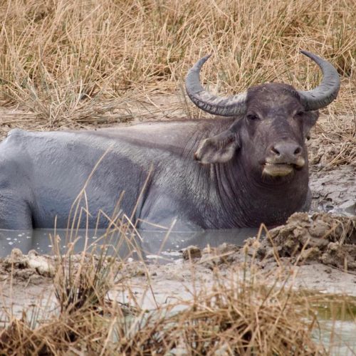 WhatsApp Image 2025-10-20 at 11.33.52 PM (1)