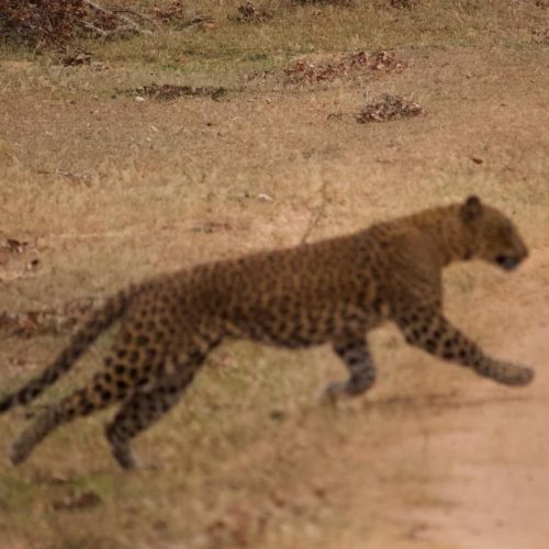 WhatsApp Image 2025-10-20 at 11.33.52 PM