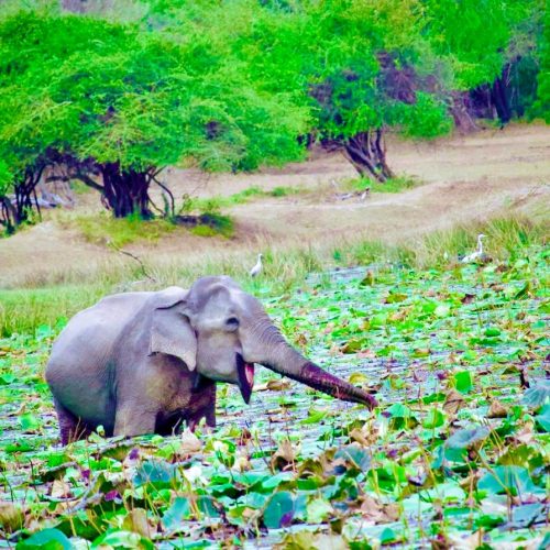 WhatsApp Image 2025-10-20 at 11.33.53 PM (1)