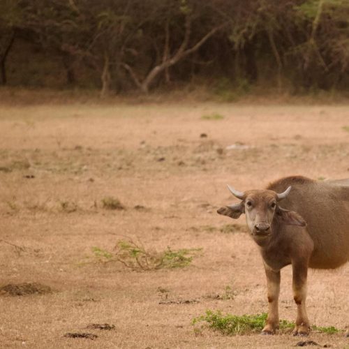 WhatsApp Image 2025-10-20 at 11.33.53 PM