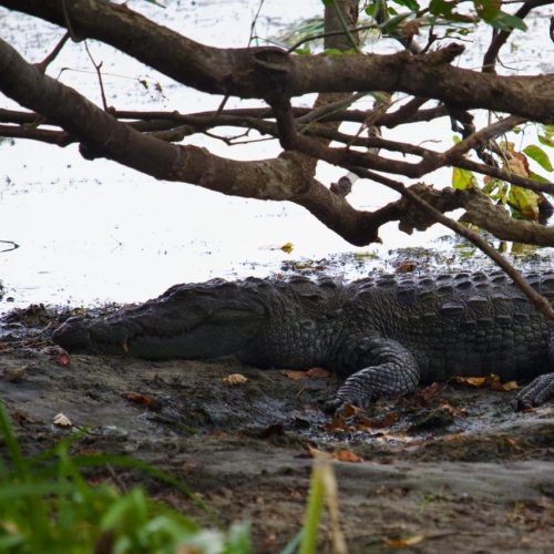 WhatsApp Image 2025-10-20 at 11.33.54 PM