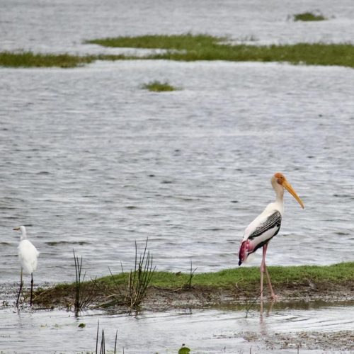 WhatsApp Image 2025-10-20 at 11.33.55 PM (1)