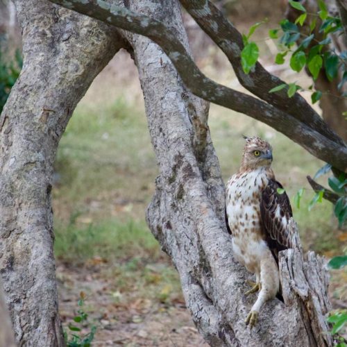 WhatsApp Image 2025-10-20 at 11.33.55 PM (2)