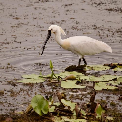 WhatsApp Image 2025-10-20 at 11.33.55 PM