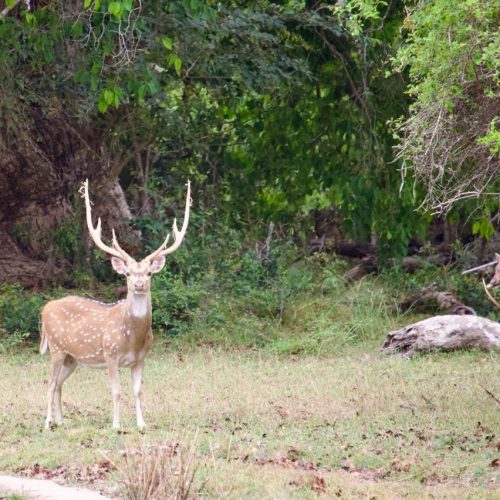 WhatsApp Image 2025-10-20 at 11.33.56 PM