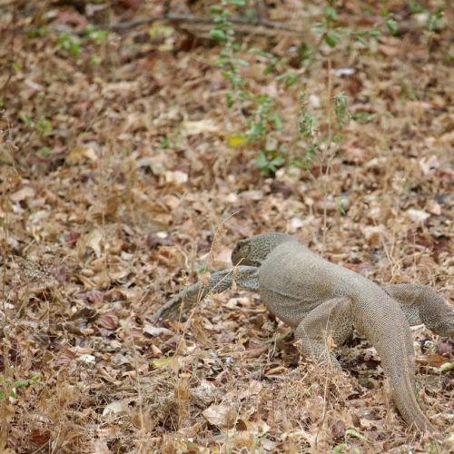 WhatsApp Image 2025-10-20 at 11.33.57 PM